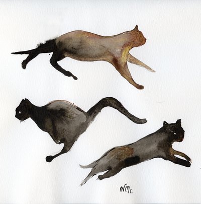 Run Cat Run by Nancy Moniz Charalambous